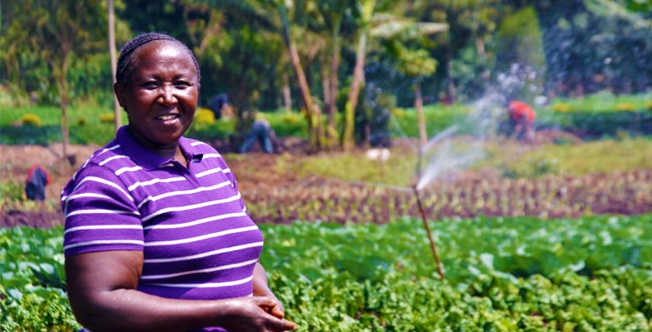 Agribusiness, the future of agriculture