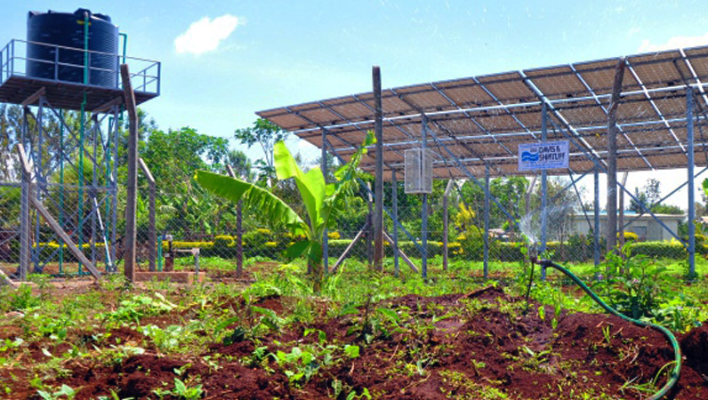 Solar Pumping Solutions