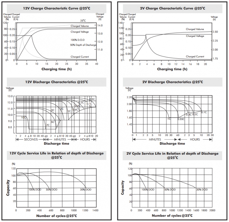 Champion Batteries Datasheet