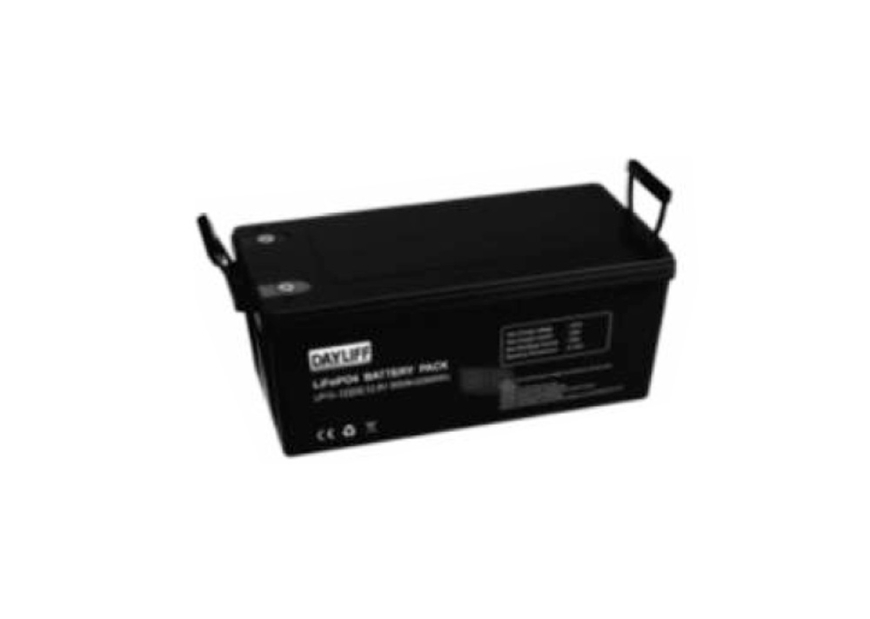 DLIP 12 24VDC 300AH Free Standing Lithium Iron Phosphate Battery