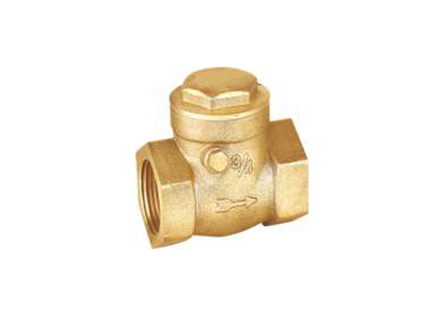 Non Return Valve-Flap
