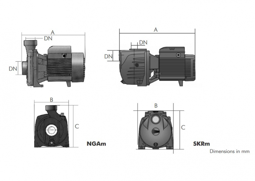 Pedrollo SKR Centrifugal Irrigation & Booster Pumps