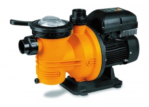 Dayliff DPL Pool Pump
