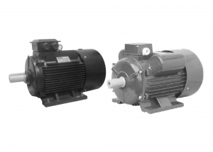 Induction Motors