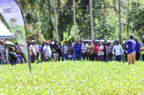 Wendy Farm Visit - February 2024