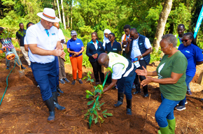 World Water Day Tree Planting at Friends of Karura